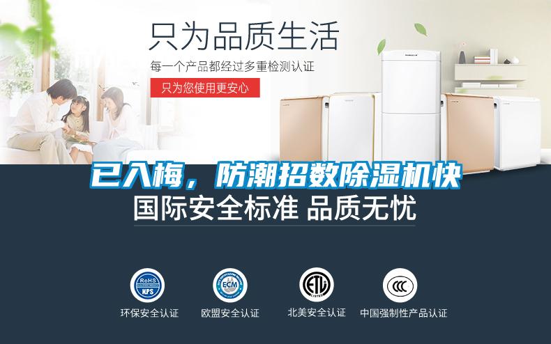 已入梅，防潮招數(shù)除濕機(jī)快