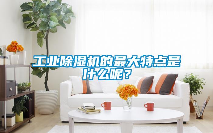 工業(yè)除濕機的最大特點是什么呢？