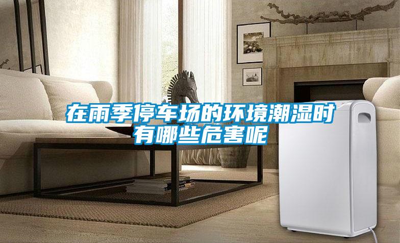 在雨季停車(chē)場(chǎng)的環(huán)境潮濕時(shí)有哪些危害呢