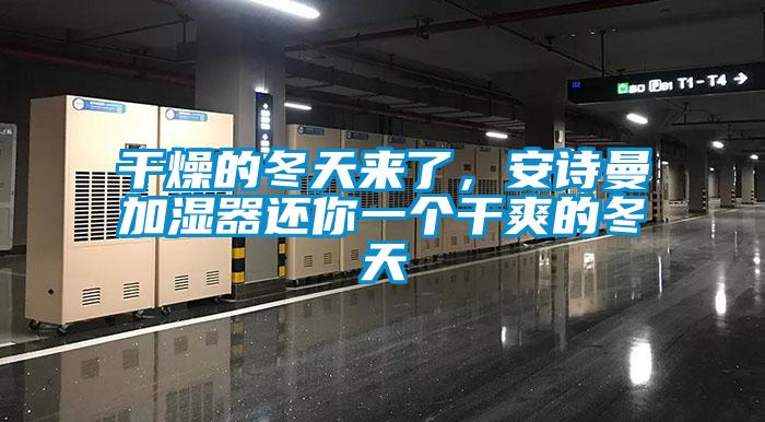 干燥的冬天來(lái)了，安詩(shī)曼加濕器還你一個(gè)干爽的冬天