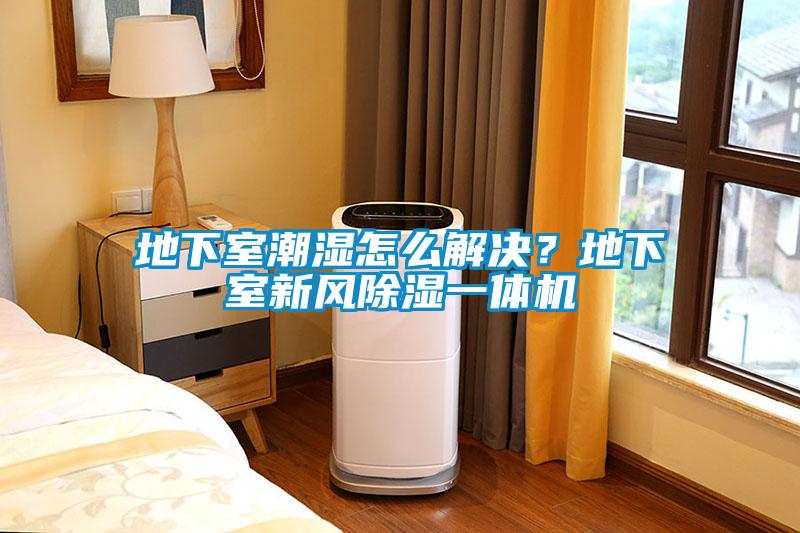 地下室潮濕怎么解決？地下室新風(fēng)除濕一體機(jī)