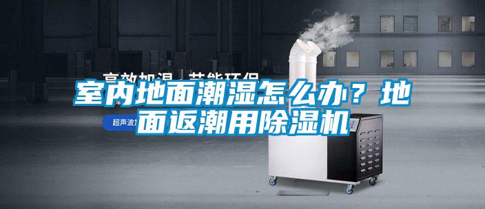 室內(nèi)地面潮濕怎么辦？地面返潮用除濕機