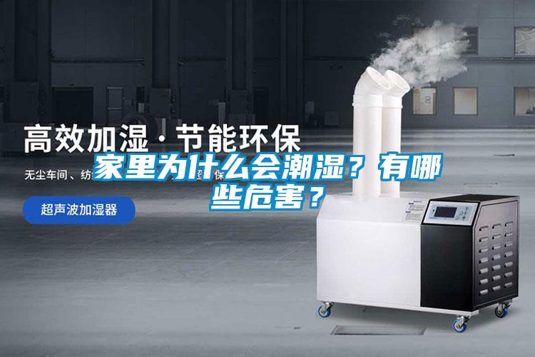 家里為什么會(huì)潮濕？有哪些危害？