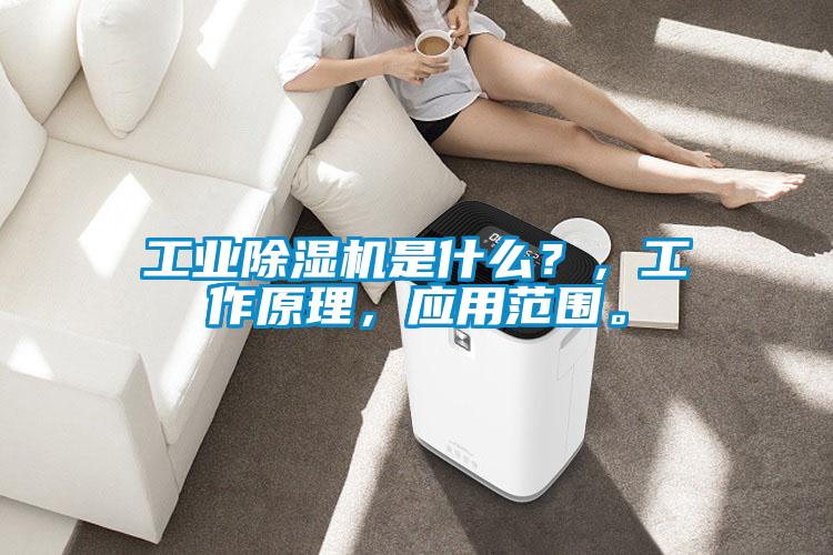 工業(yè)除濕機(jī)是什么？，工作原理，應(yīng)用范圍。