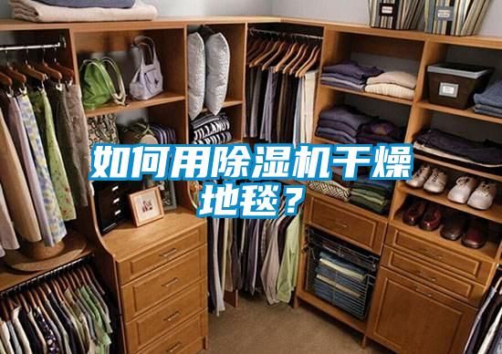 如何用除濕機干燥地毯？