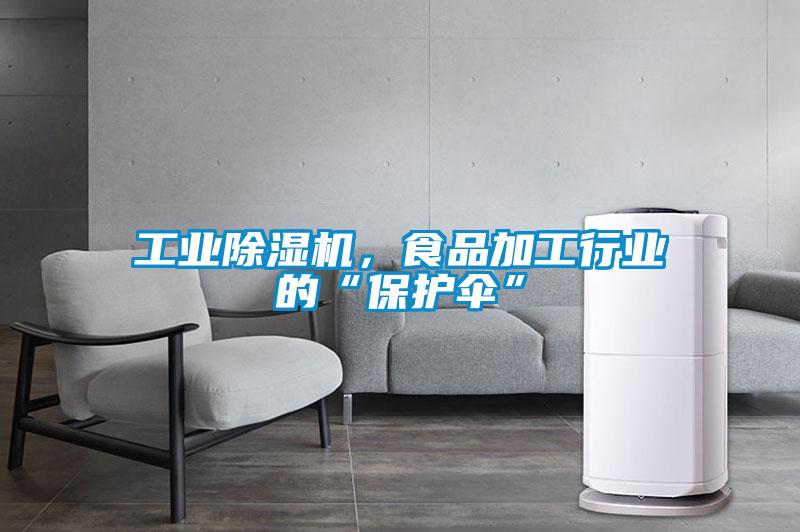 工業(yè)除濕機(jī)，食品加工行業(yè)的“保護(hù)傘”