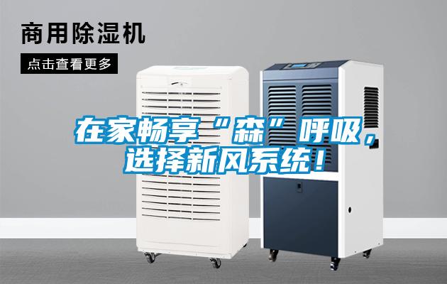 在家暢享“森”呼吸，選擇新風(fēng)系統(tǒng)！