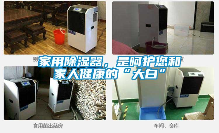 家用除濕器，是呵護您和家人健康的“大白”
