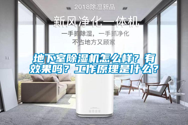 地下室除濕機怎么樣？有效果嗎？工作原理是什么？