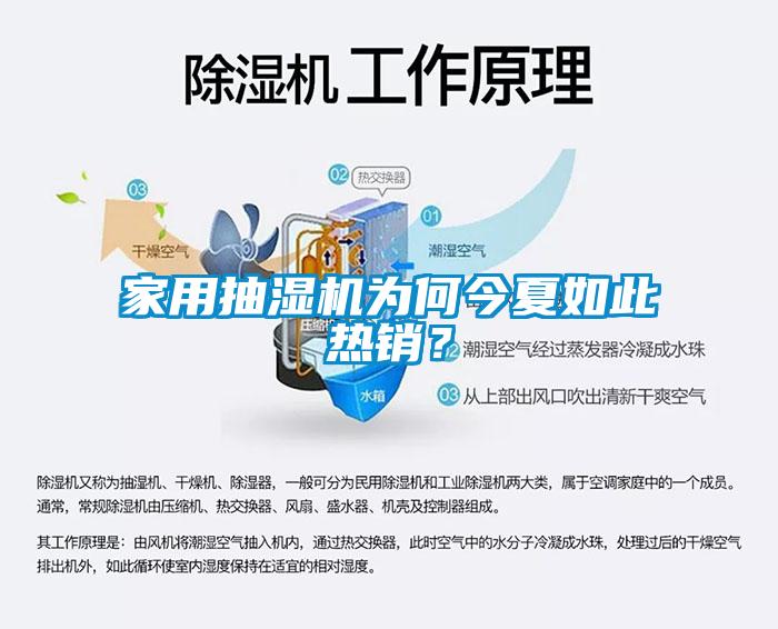 家用抽濕機(jī)為何今夏如此熱銷？