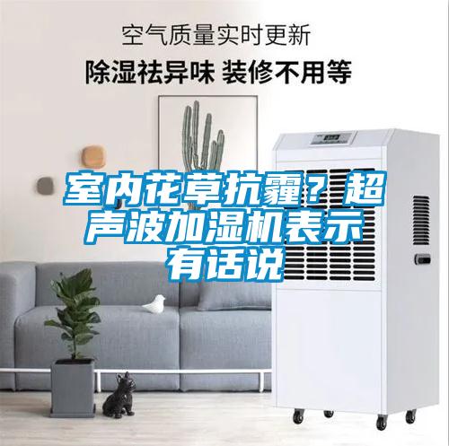 室內(nèi)花草抗霾？超聲波加濕機表示有話說