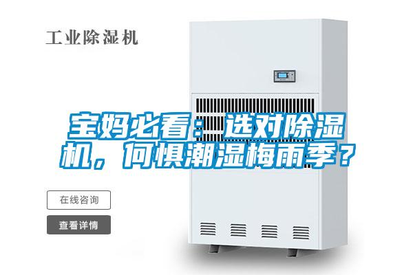 寶媽必看：選對除濕機(jī)，何懼潮濕梅雨季？