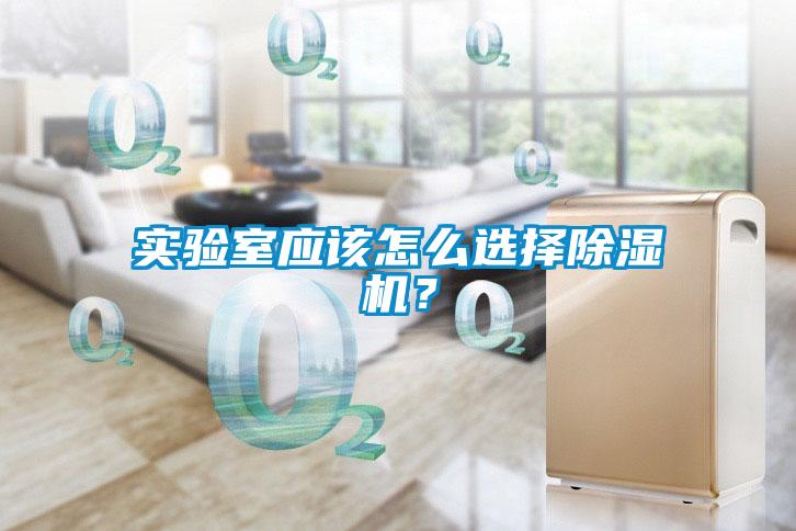 實(shí)驗(yàn)室應(yīng)該怎么選擇除濕機(jī)？
