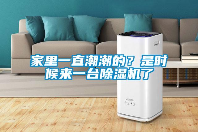 家里一直潮潮的？是時(shí)候來(lái)一臺(tái)除濕機(jī)了