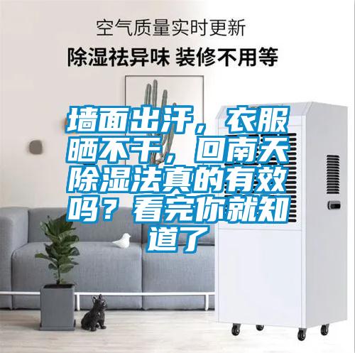 墻面出汗，衣服曬不干，回南天除濕法真的有效嗎？看完你就知道了
