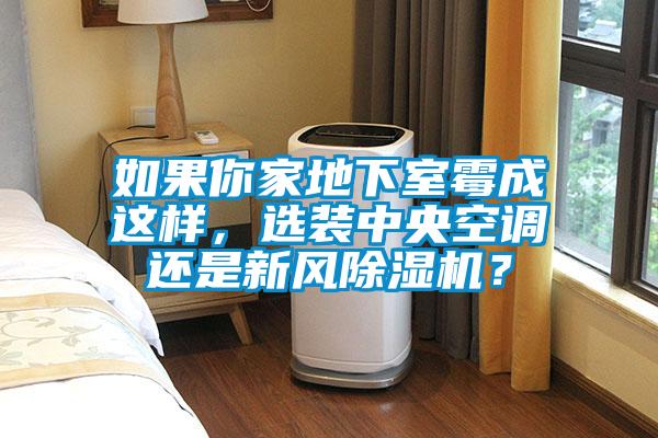 如果你家地下室霉成這樣，選裝中央空調還是新風除濕機？