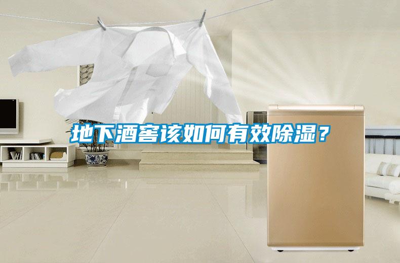 地下酒窖該如何有效除濕？