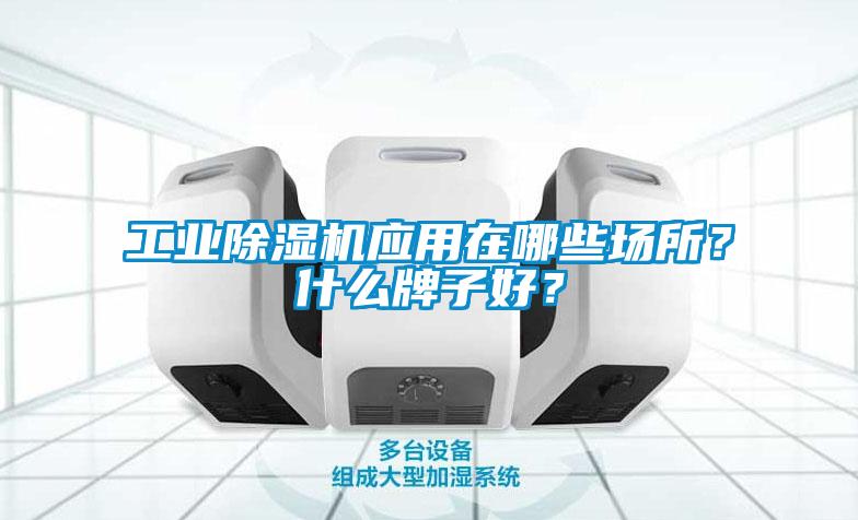 工業(yè)除濕機(jī)應(yīng)用在哪些場所？什么牌子好？