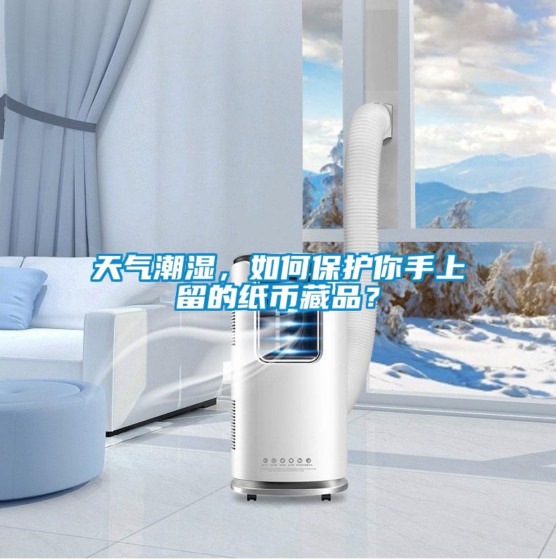 天氣潮濕，如何保護你手上留的紙幣藏品？