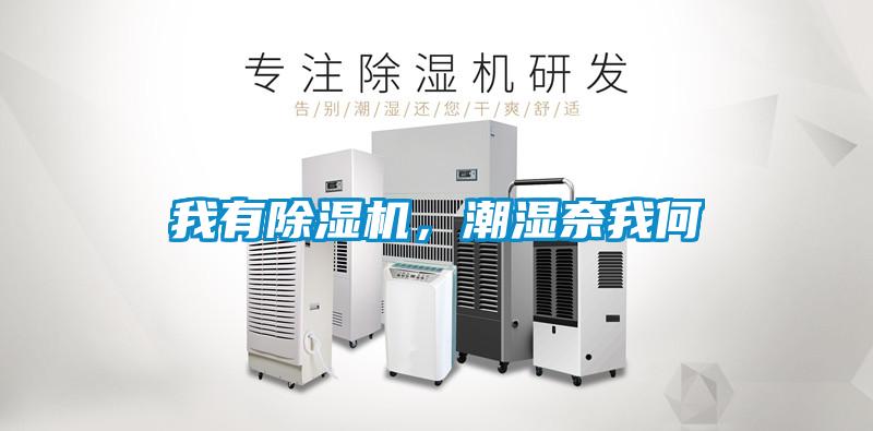 我有除濕機(jī)，潮濕奈我何