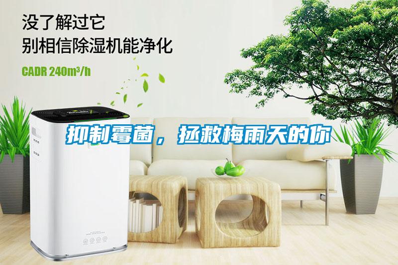 抑制霉菌，拯救梅雨天的你