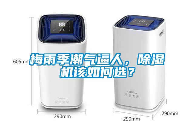 梅雨季潮氣逼人，除濕機(jī)該如何選？