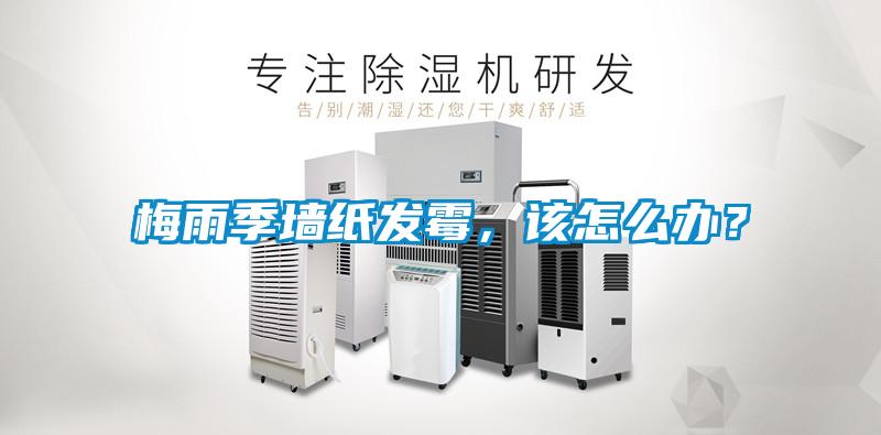 梅雨季墻紙發(fā)霉，該怎么辦？