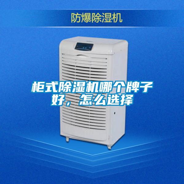 柜式除濕機(jī)哪個(gè)牌子好，怎么選擇