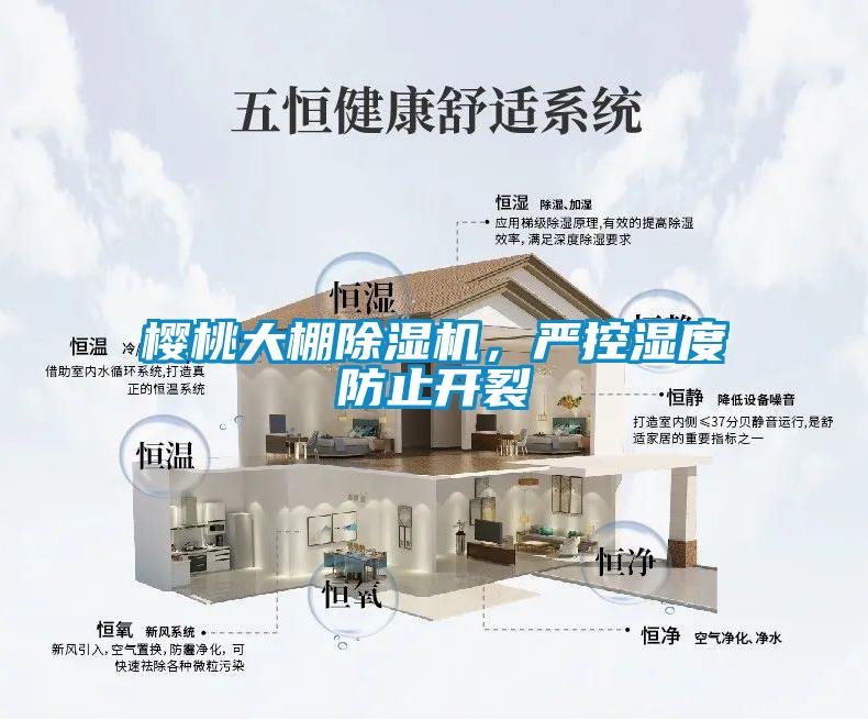 櫻桃大棚除濕機(jī)，嚴(yán)控濕度防止開裂