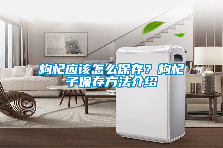 枸杞應(yīng)該怎么保存？枸杞子保存方法介紹
