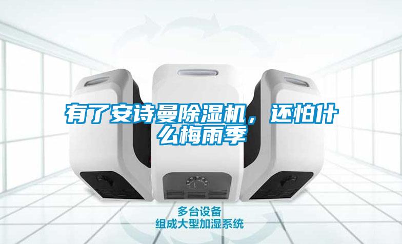 有了安詩(shī)曼除濕機(jī)，還怕什么梅雨季