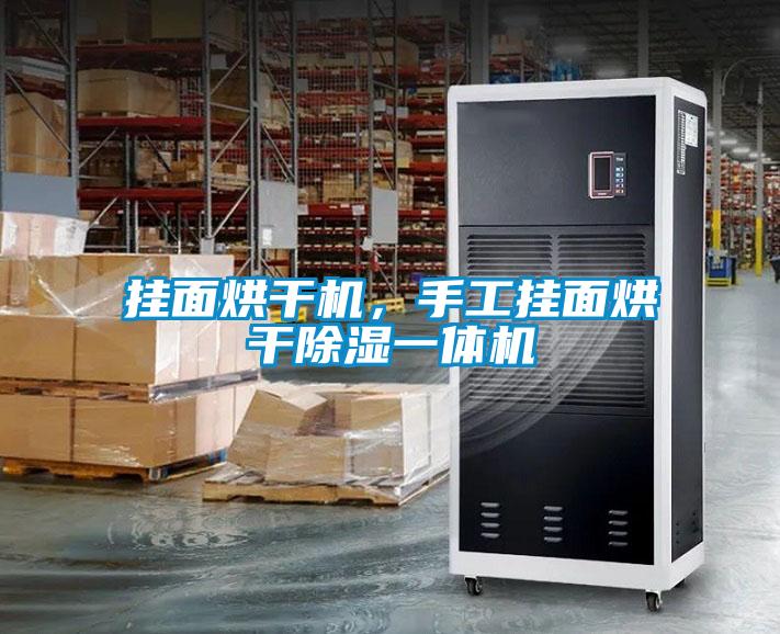 掛面烘干機，手工掛面烘干除濕一體機