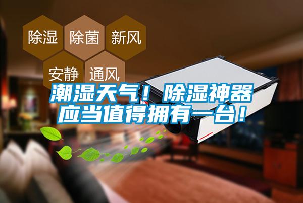 潮濕天氣！除濕神器應(yīng)當(dāng)值得擁有一臺(tái)！