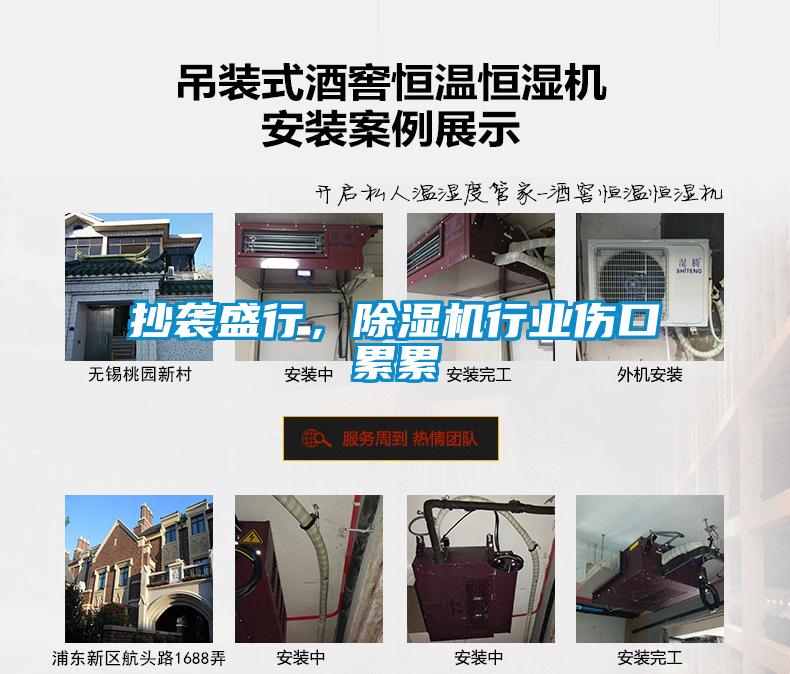 抄襲盛行，除濕機(jī)行業(yè)傷口累累
