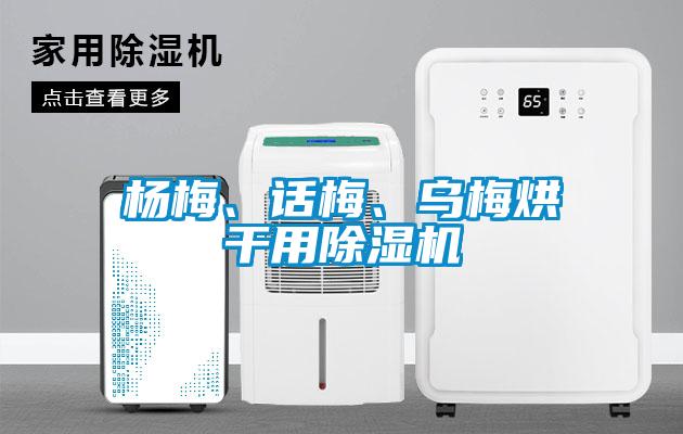 楊梅、話梅、烏梅烘干用除濕機(jī)