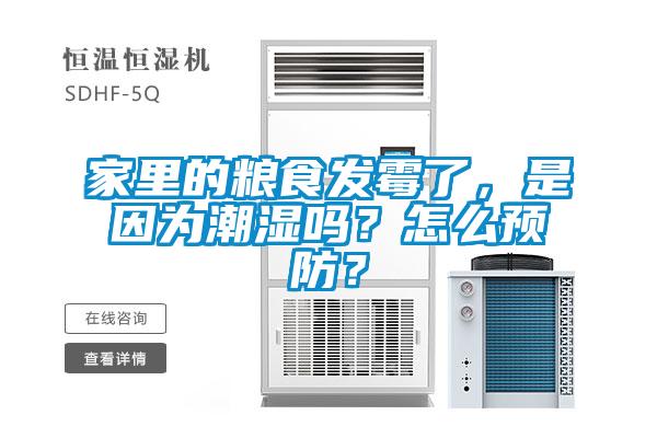 家里的糧食發(fā)霉了，是因為潮濕嗎？怎么預防？