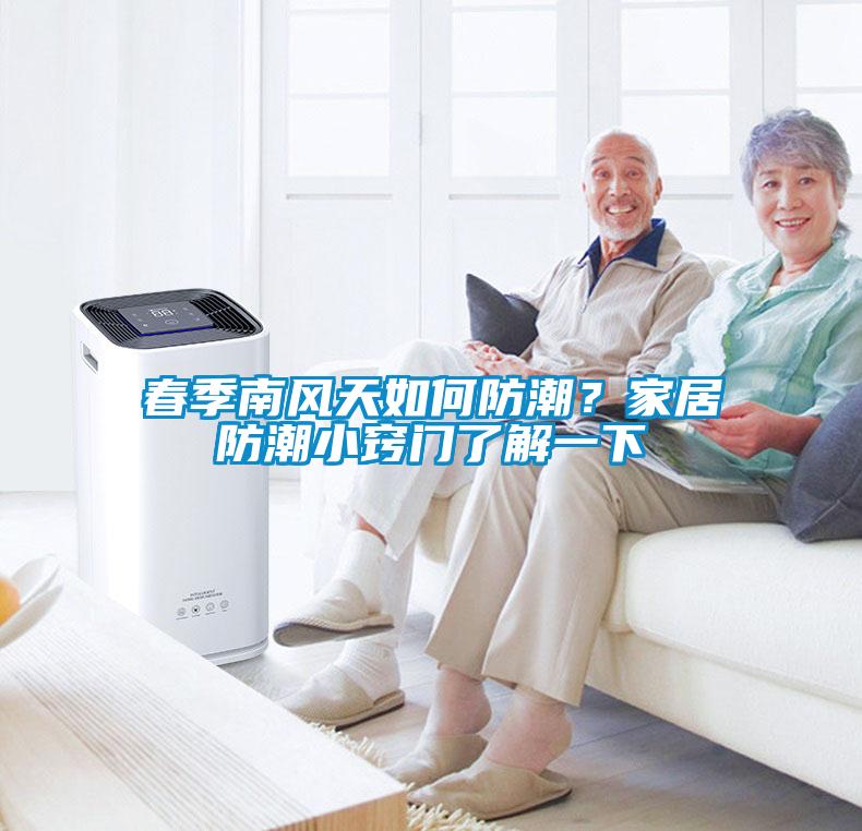 春季南風(fēng)天如何防潮？家居防潮小竅門了解一下