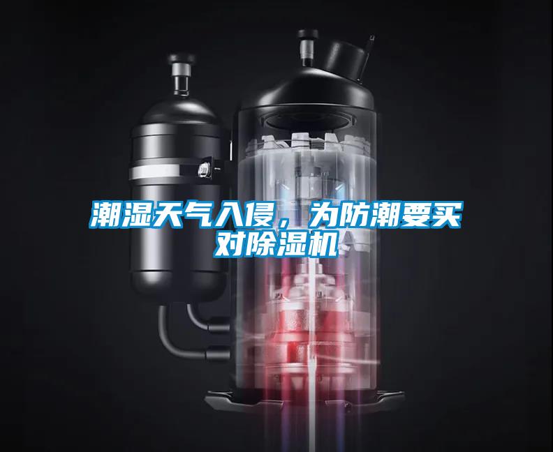 潮濕天氣入侵，為防潮要買對除濕機