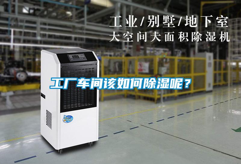 工廠車間該如何除濕呢？