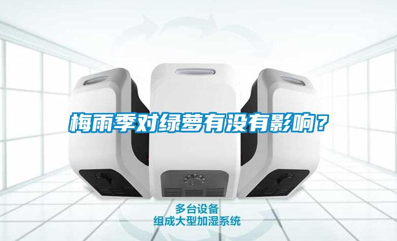 梅雨季對綠蘿有沒有影響？