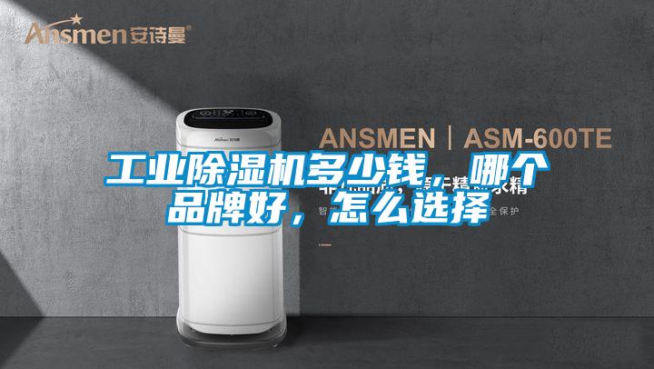 工業(yè)除濕機(jī)多少錢，哪個品牌好，怎么選擇