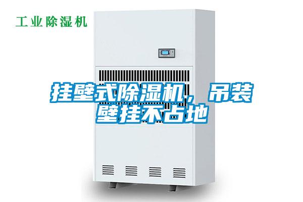 掛壁式除濕機(jī)，吊裝壁掛不占地