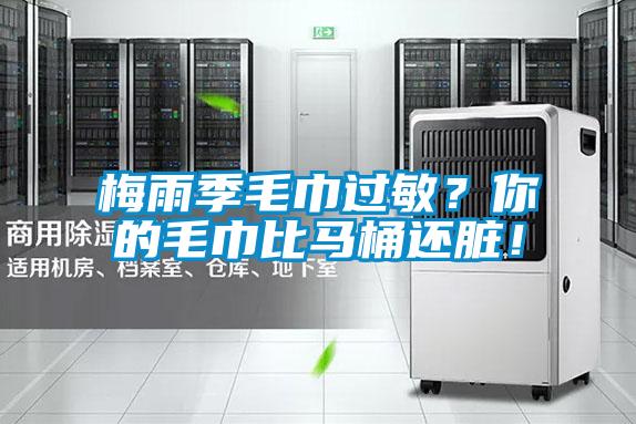 梅雨季毛巾過敏？你的毛巾比馬桶還臟！
