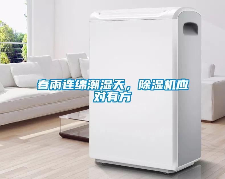 春雨連綿潮濕天，除濕機(jī)應(yīng)對(duì)有方