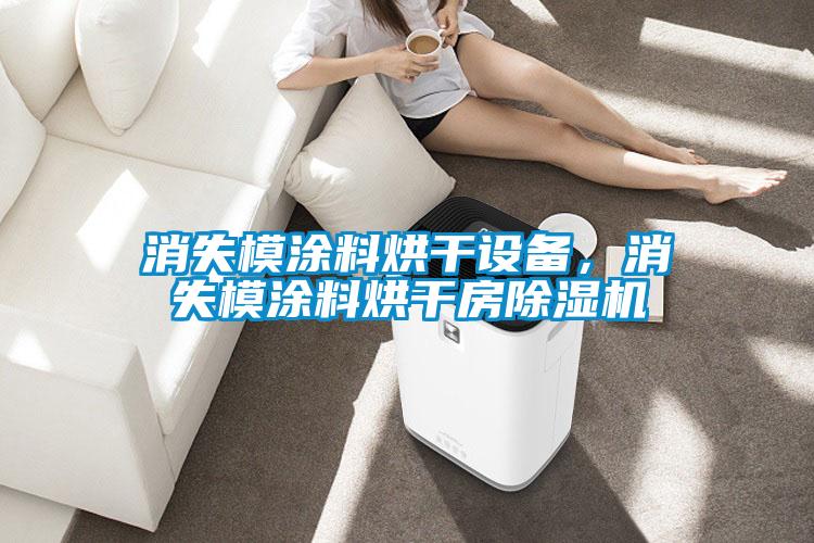 消失模涂料烘干設備，消失模涂料烘干房除濕機