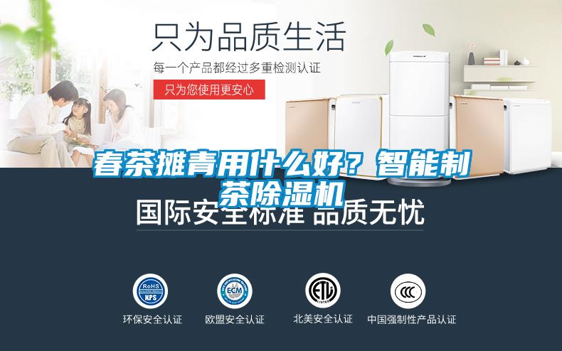 春茶攤青用什么好？智能制茶除濕機