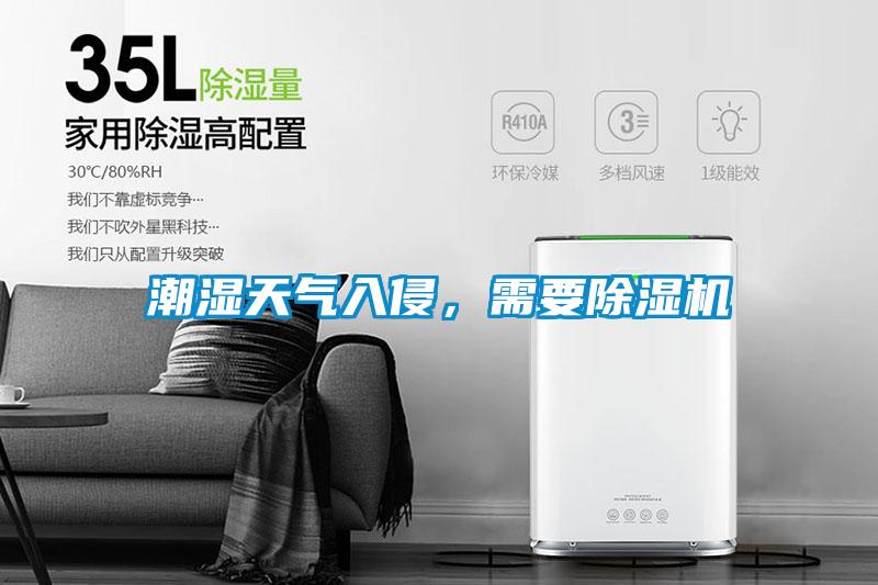 潮濕天氣入侵，需要除濕機