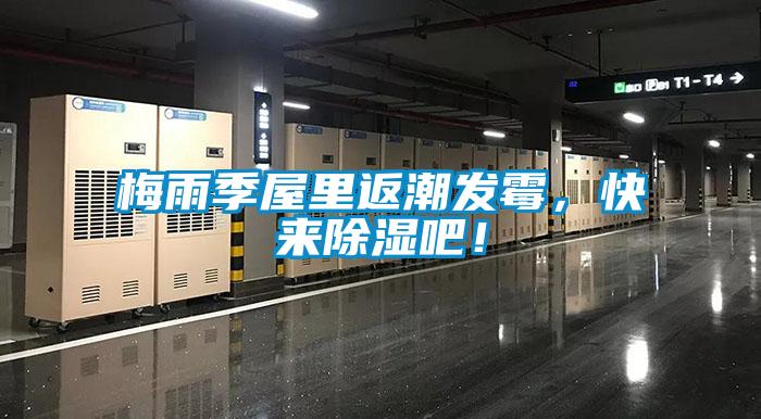 梅雨季屋里返潮發(fā)霉，快來除濕吧！