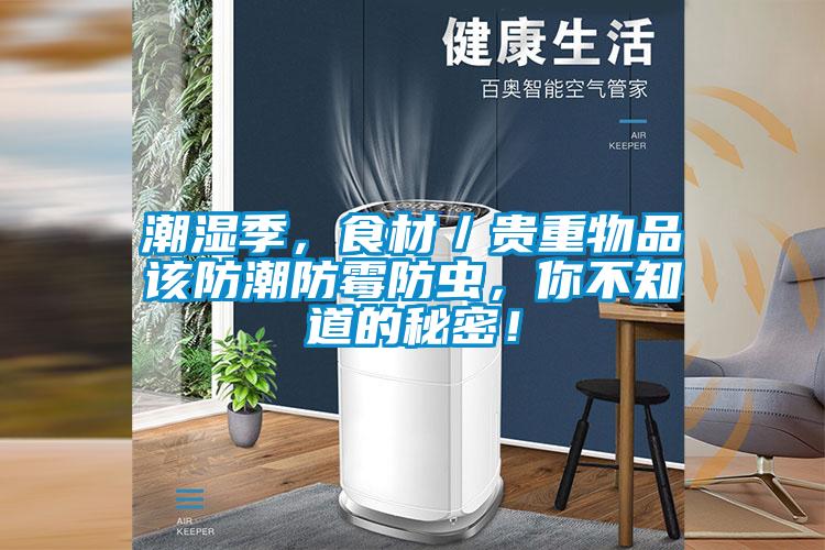 潮濕季，食材／貴重物品該防潮防霉防蟲，你不知道的秘密！