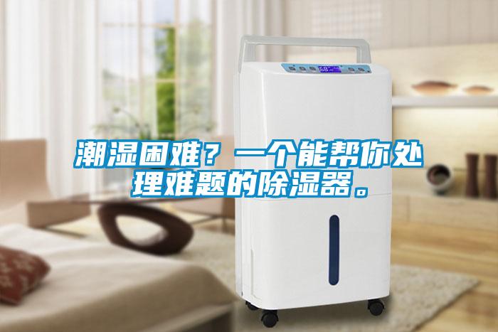 潮濕困難？一個能幫你處理難題的除濕器。